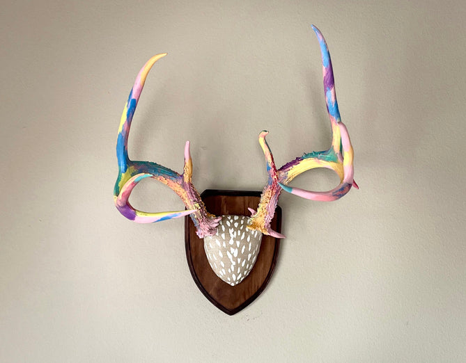 Beautiful large white tail deer antlers painted and mounted on wood with animal print fabric covering the skull