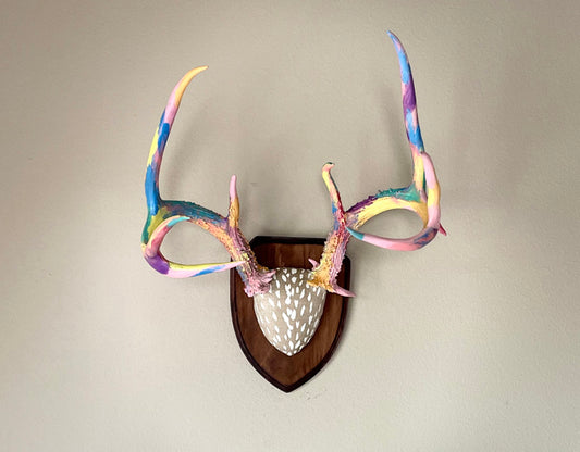 Beautiful large white tail deer antlers painted and mounted on wood with animal print fabric covering the skull