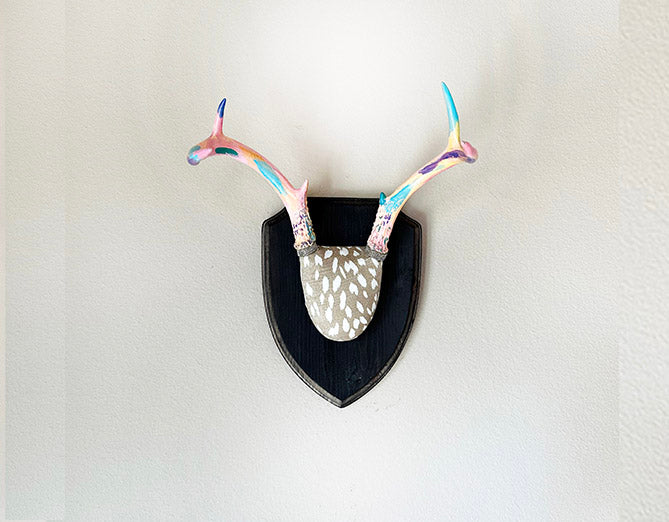 image of small real white tail deer antlers colorfully hand painted, mounted  and covered in animal print fabric