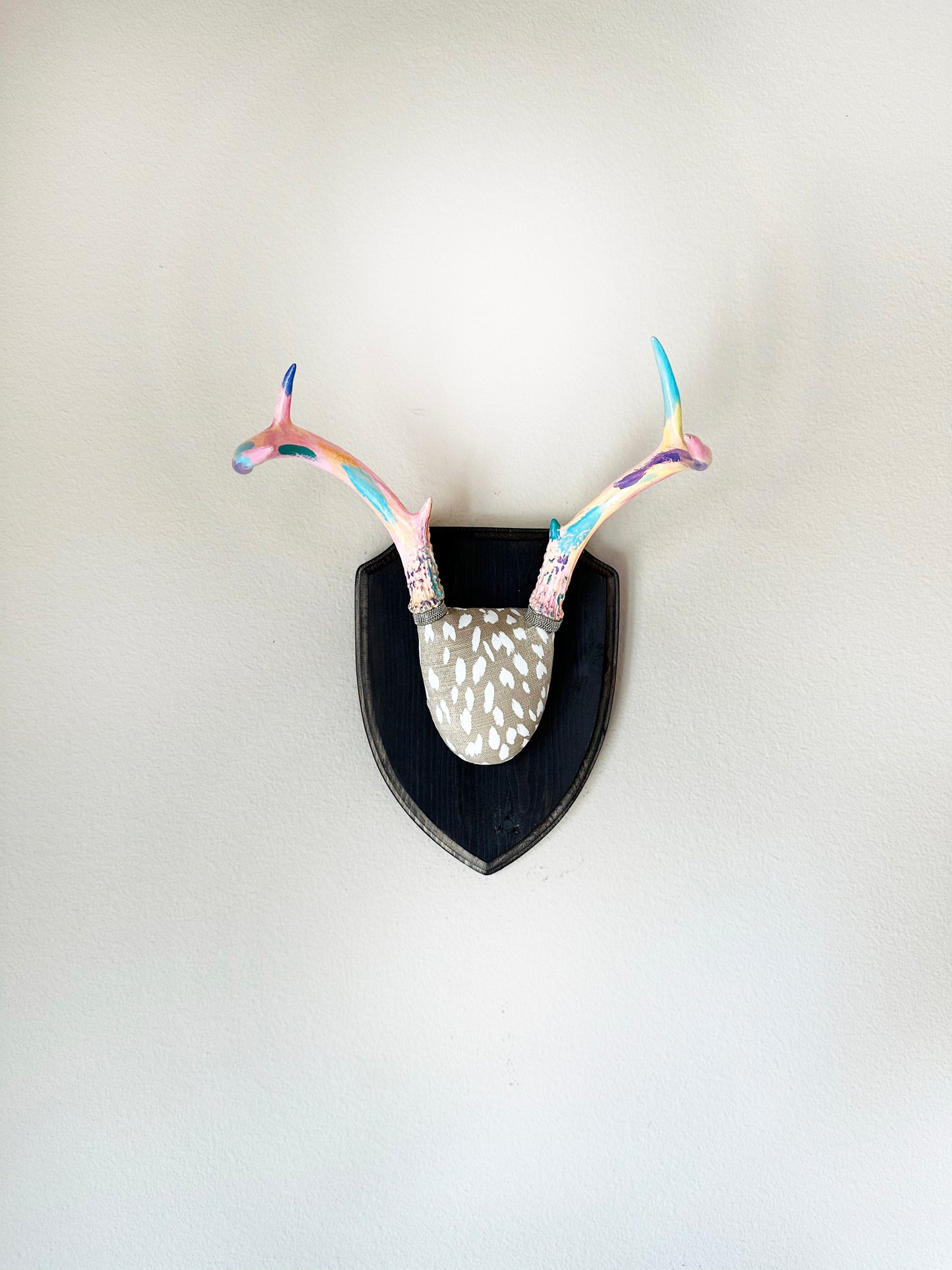 image of small real white tail deer antlers colorfully hand painted, mounted  and covered in animal print fabric