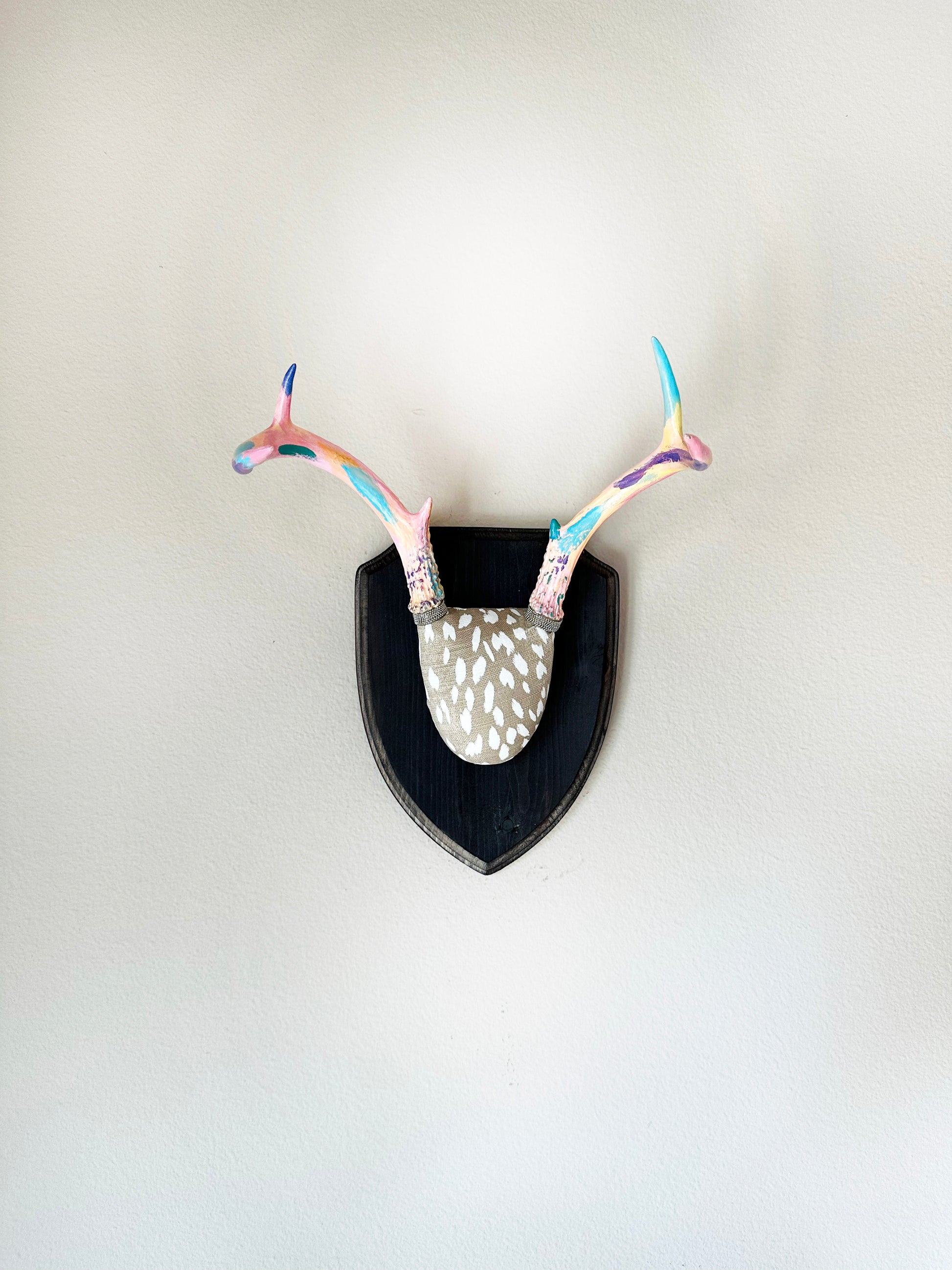 image of small real white tail deer antlers colorfully hand painted, mounted  and covered in animal print fabric