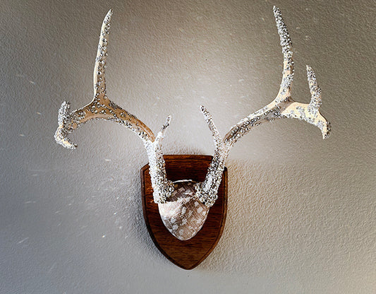 Antler Elegance: Interior Design Trend of 2024