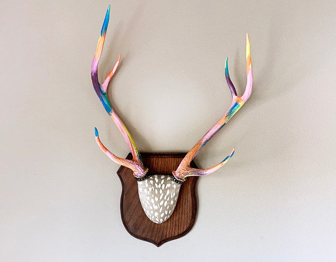 beautiful large bright colored painted and mounted axis deer antlers 