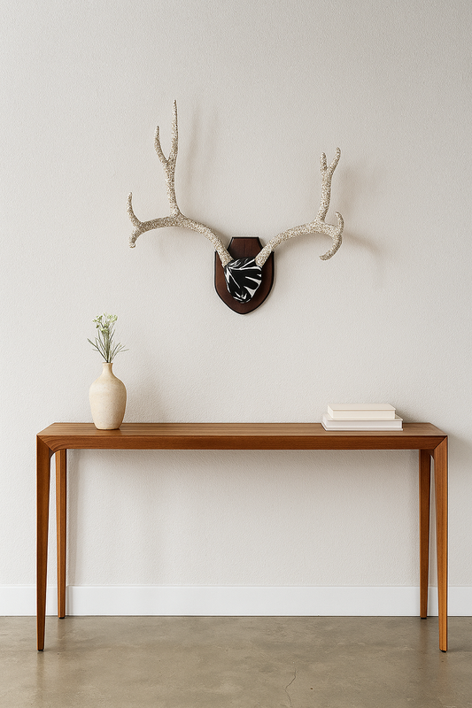 Antlers hung in the entryway of a minimalist home