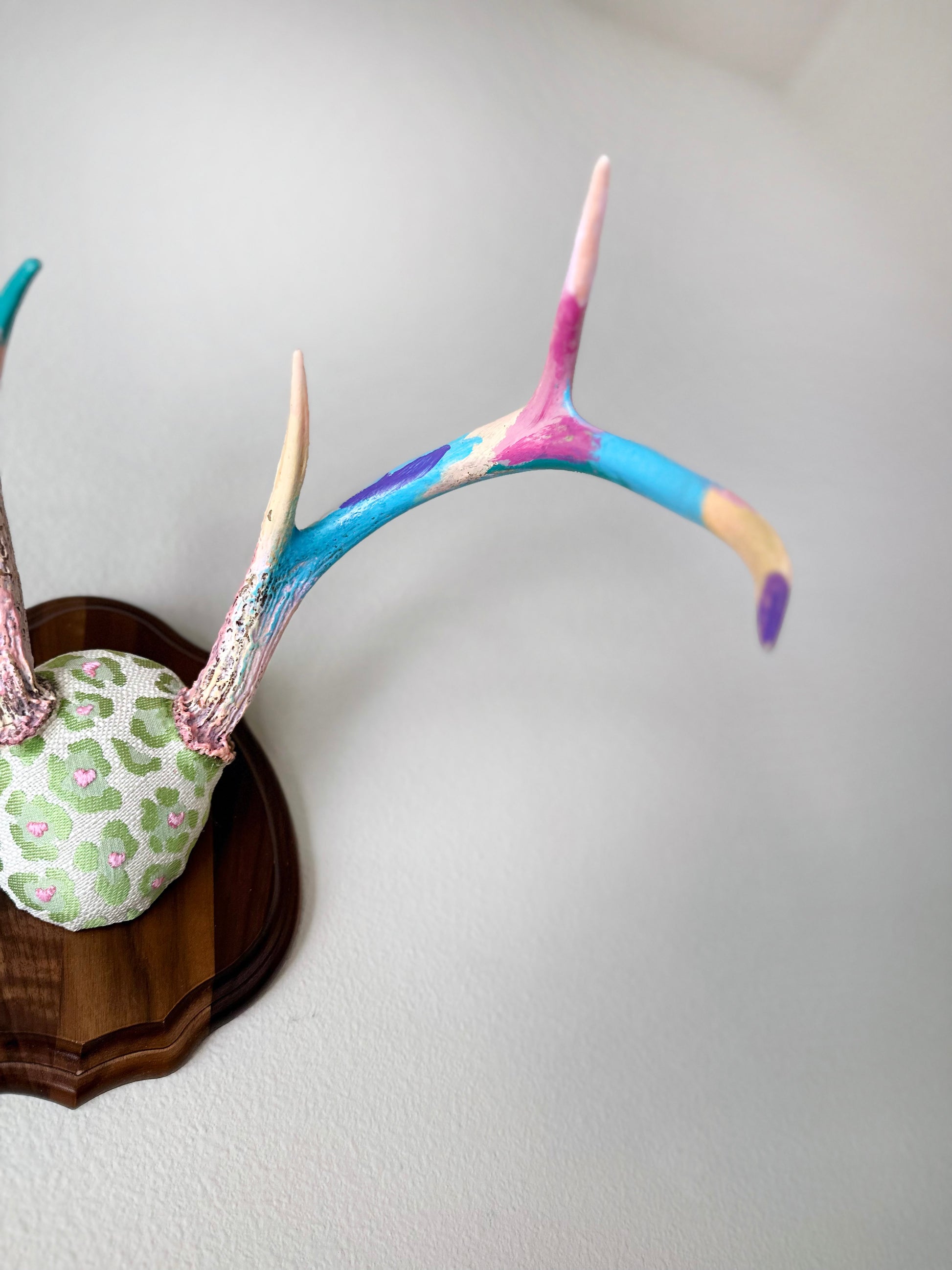 image of large real white tail deer antlers colorfully hand painted, mounted and covered in pastel neon green and pink cheetah leopard print fabric