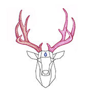 ATXantlers