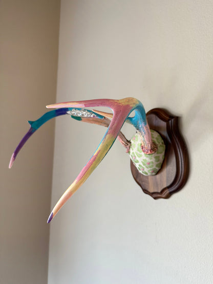 image of large real white tail deer antlers colorfully hand painted, mounted and covered in pastel neon green and pink cheetah leopard print fabric