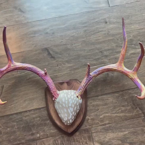 Mounted Real Deer Antlers Hand Painted Wall Mount Full Rack Custom Antler Set Unique Decor