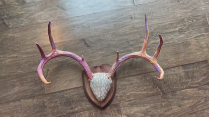 Mounted Real Deer Antlers Hand Painted Wall Mount Full Rack Custom Antler Set Unique Decor