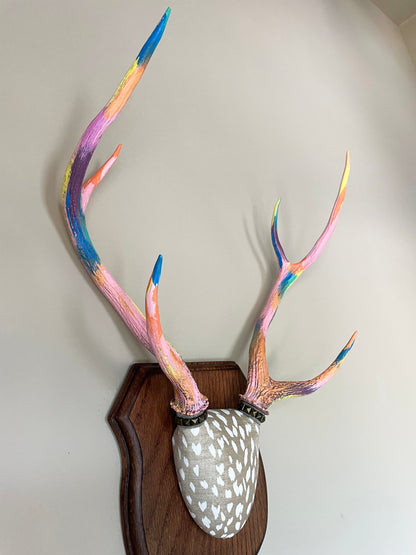 colorfully painted axis deer antlers