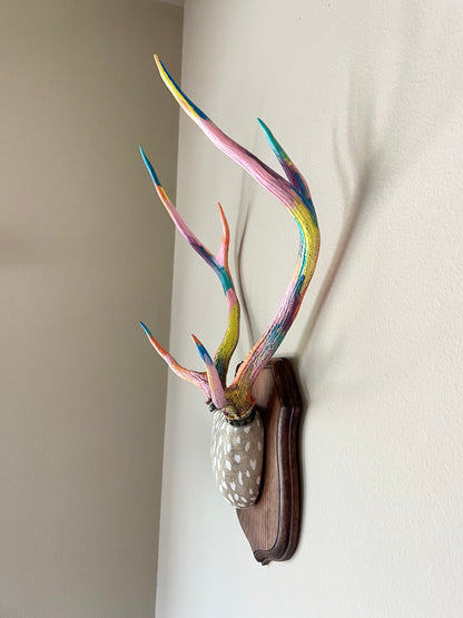 side view of painted deer antlers