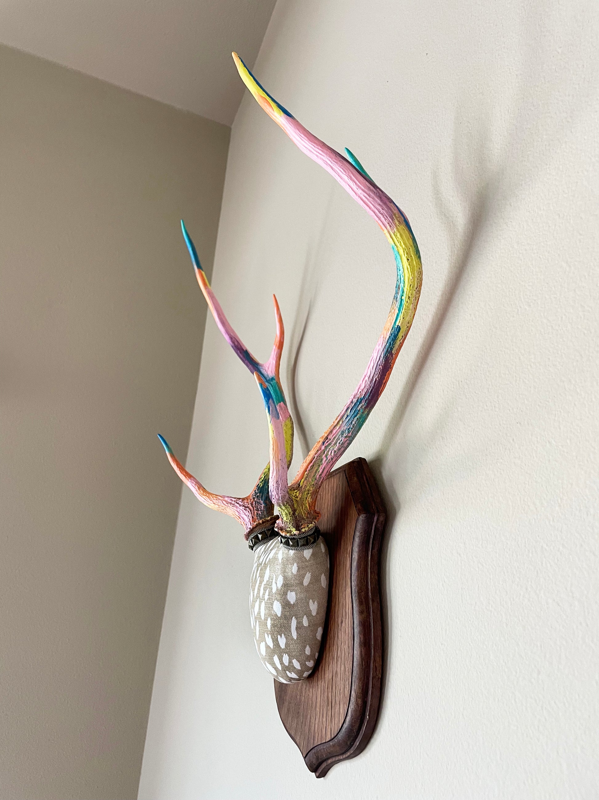 axis deer antlers