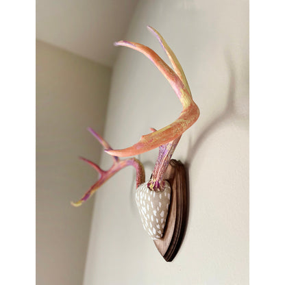 Mounted Real Deer Antlers Hand Painted Wall Mount Full Rack Custom Antler Set Unique Decor