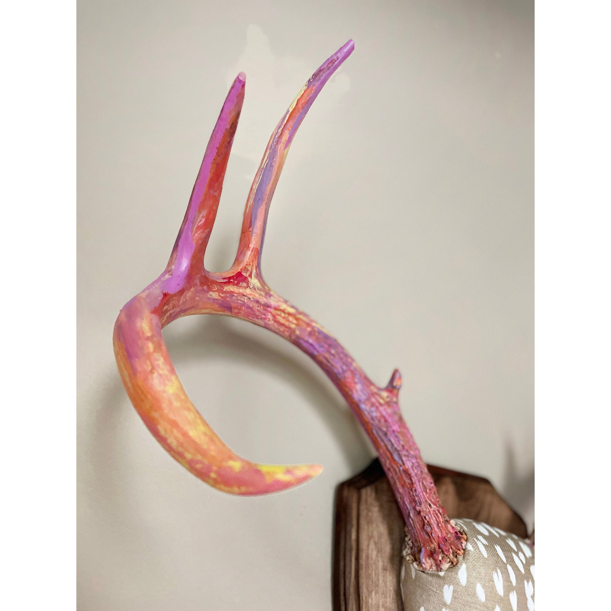 Mounted Real Deer Antlers Hand Painted Wall Mount Full Rack Custom Antler Set Unique Decor