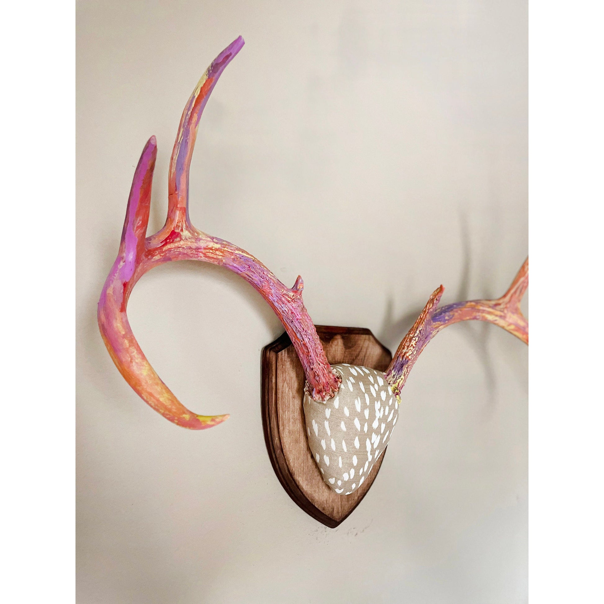 Mounted Real Deer Antlers Hand Painted Wall Mount Full Rack Custom Antler Set Unique Decor