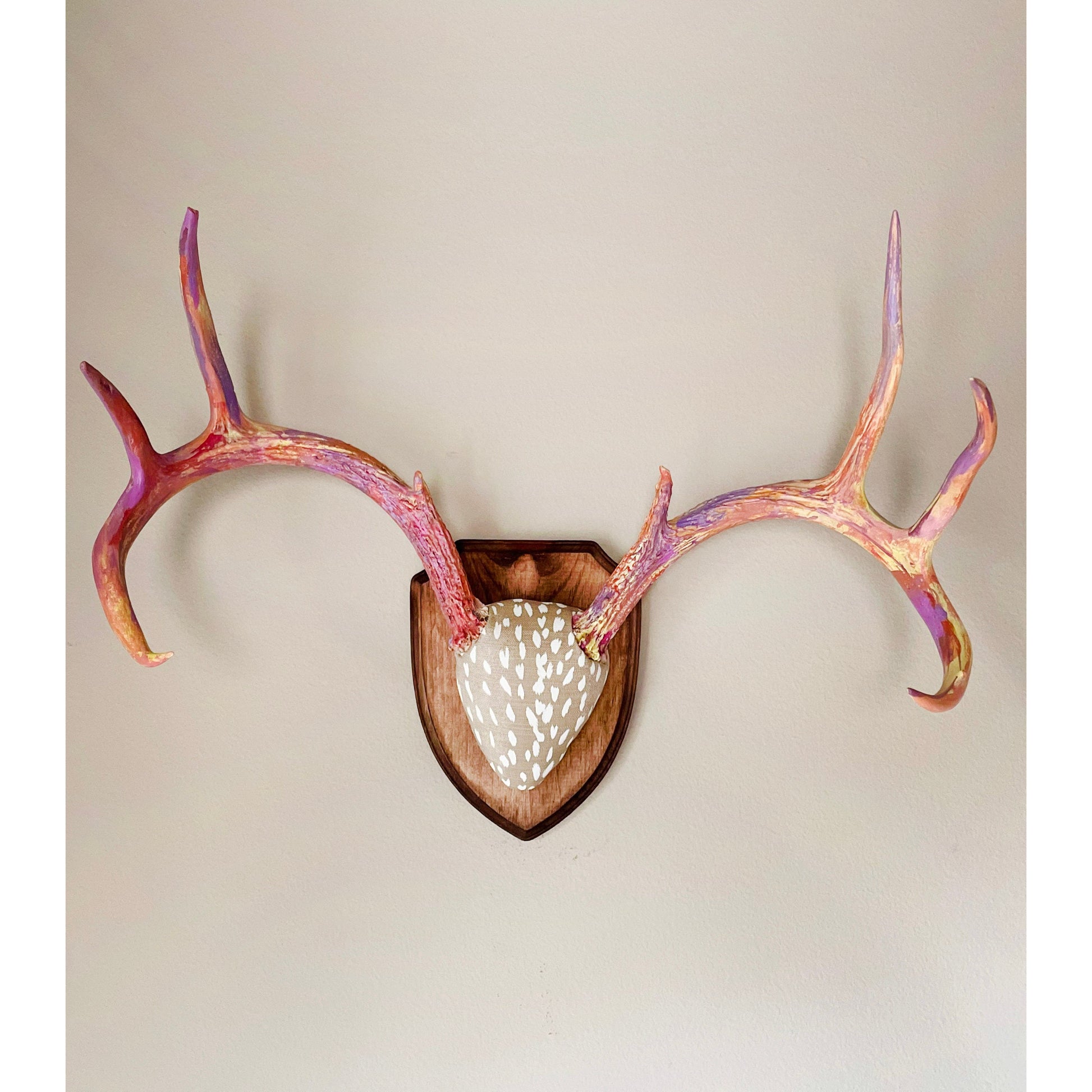 Mounted Real Deer Antlers Hand Painted Wall Mount Full Rack Custom Antler Set Unique Decor