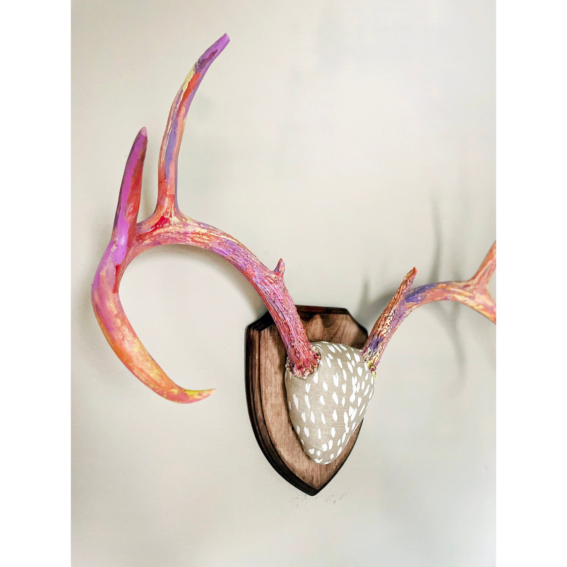 Mounted Real Deer Antlers Hand Painted Wall Mount Full Rack Custom Antler Set Unique Decor