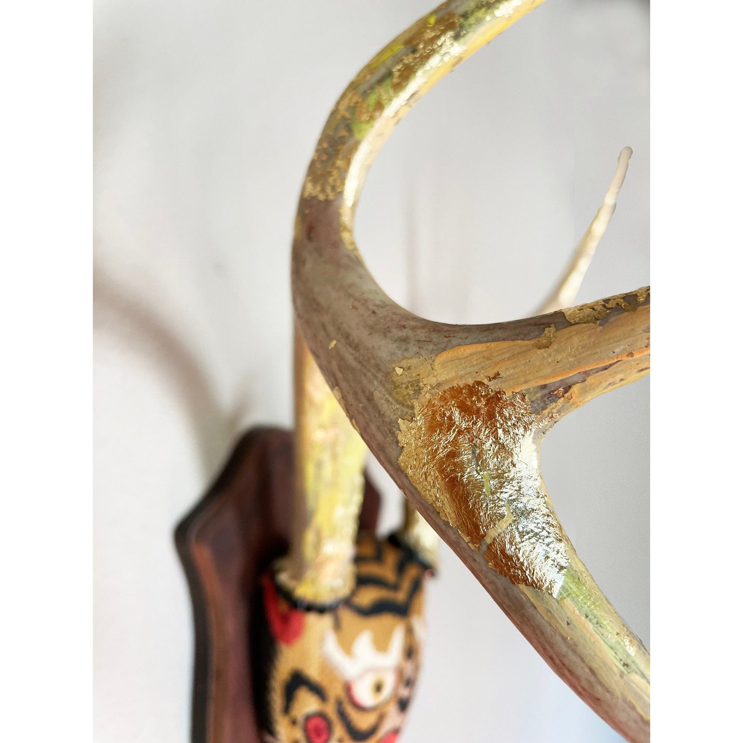 Chinese Tiger Print Mounted Real Deer Antlers